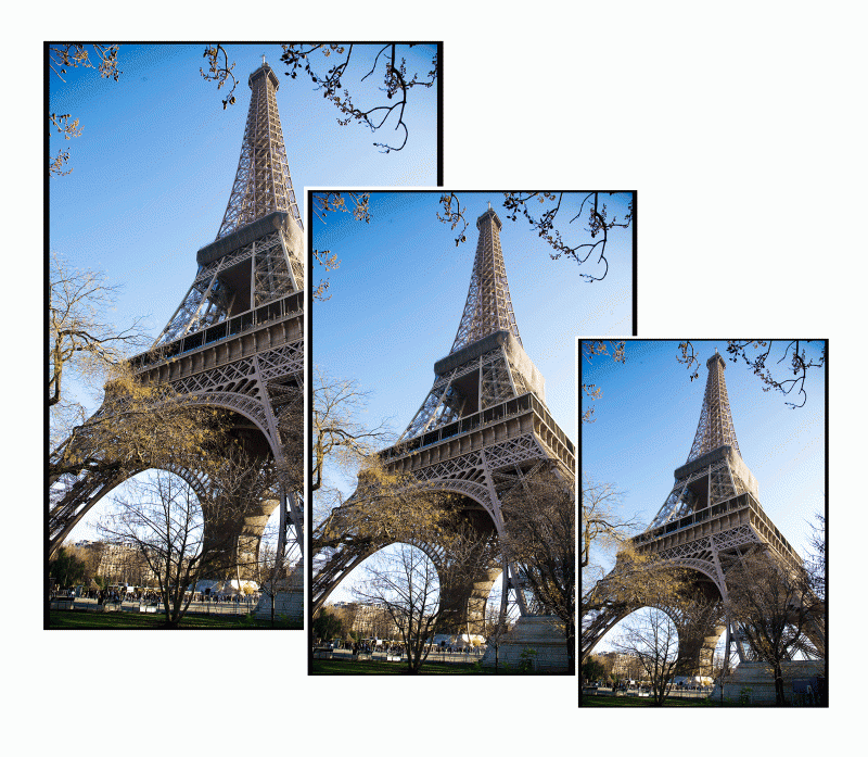 Reprints Enlargements